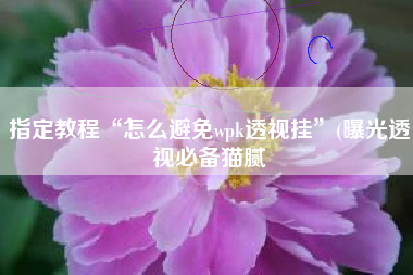 指定教程“怎么避免wpk透视挂”(曝光透视必备猫腻