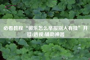 必看教程“微乐怎么举报别人有挂”开挂(透视)辅助神器