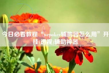 今日必看教程“wepoker辅助器怎么用”开挂(透视)辅助神器