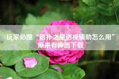 玩家必搜“德扑之星透视辅助怎么用”原来有神器下载