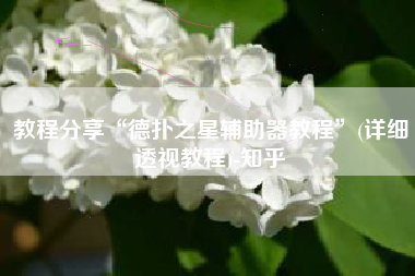 教程分享“德扑之星辅助器教程	”(详细透视教程)-知乎