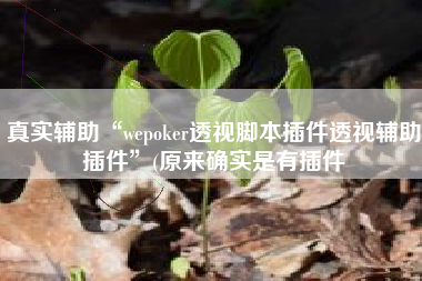 真实辅助“wepoker透视脚本插件透视辅助插件”(原来确实是有插件