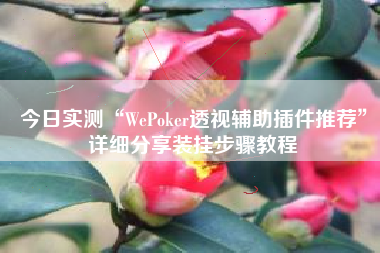 今日实测“WePoker透视辅助插件推荐	”详细分享装挂步骤教程
