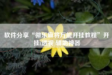 软件分享“微乐麻将万能开挂教程”开挂(透视)辅助神器