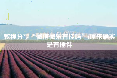 教程分享“微信微乐有挂吗”(原来确实是有插件